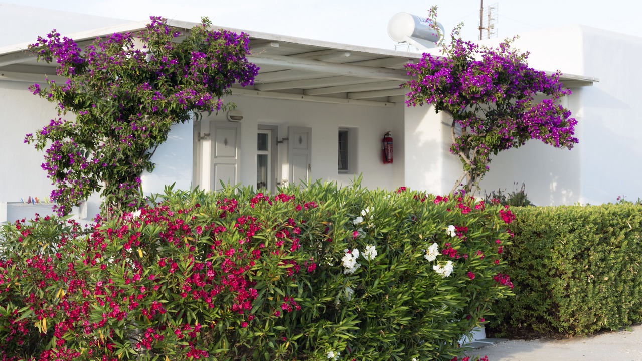 Photo of Outdoor in Chrissi Akti