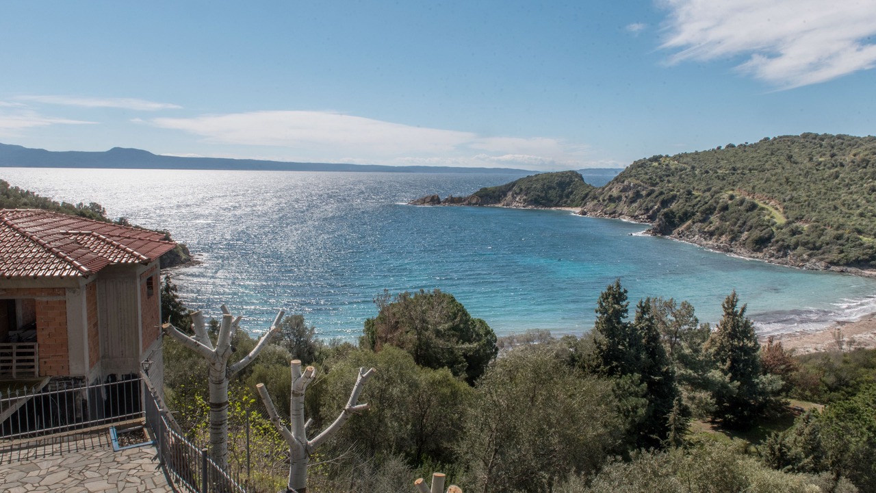 Photo of Others in Aristotelis