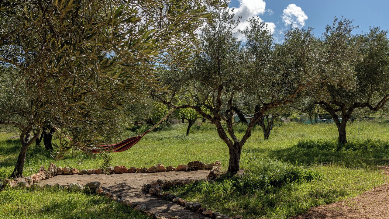 Photo of Outdoor in Agia Marina