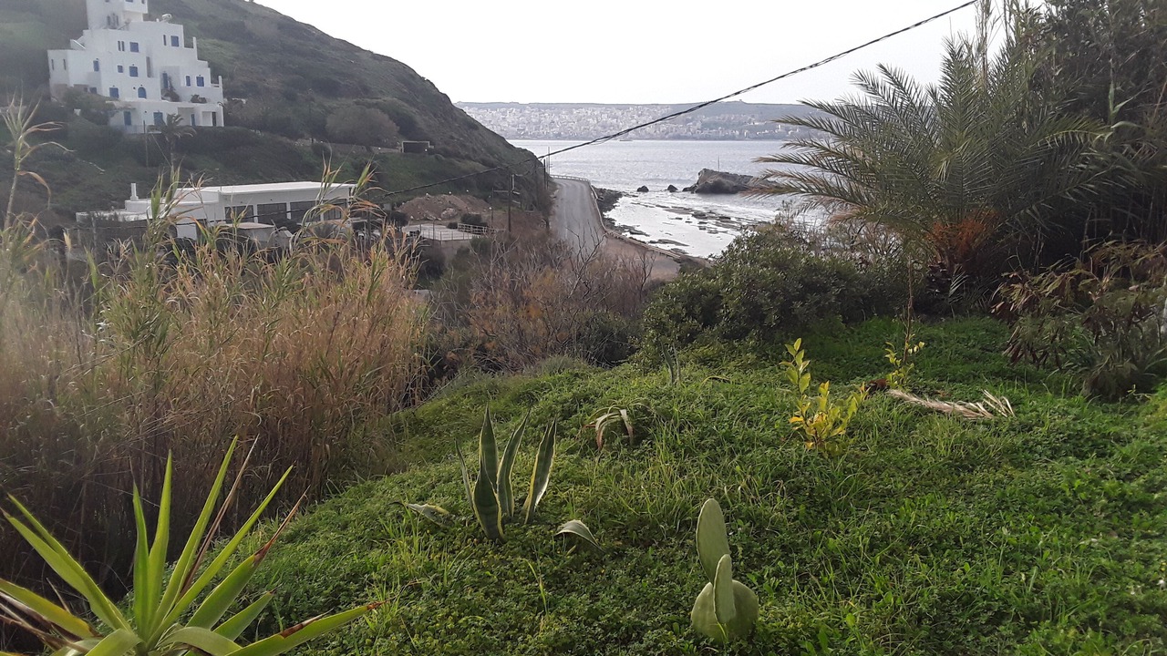 Photo of Outdoor in Tripitos