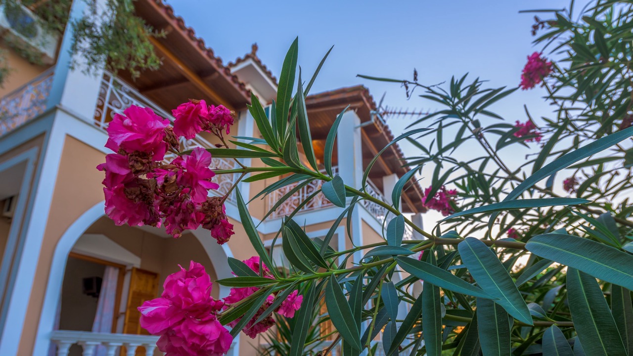 Photo of Outdoor in Psarou