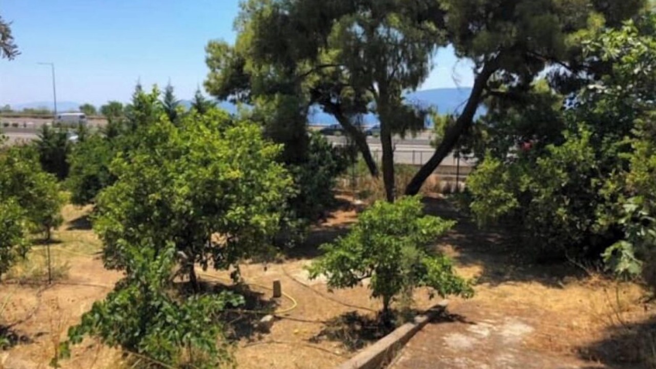 Photo of Outdoor in Katakali
