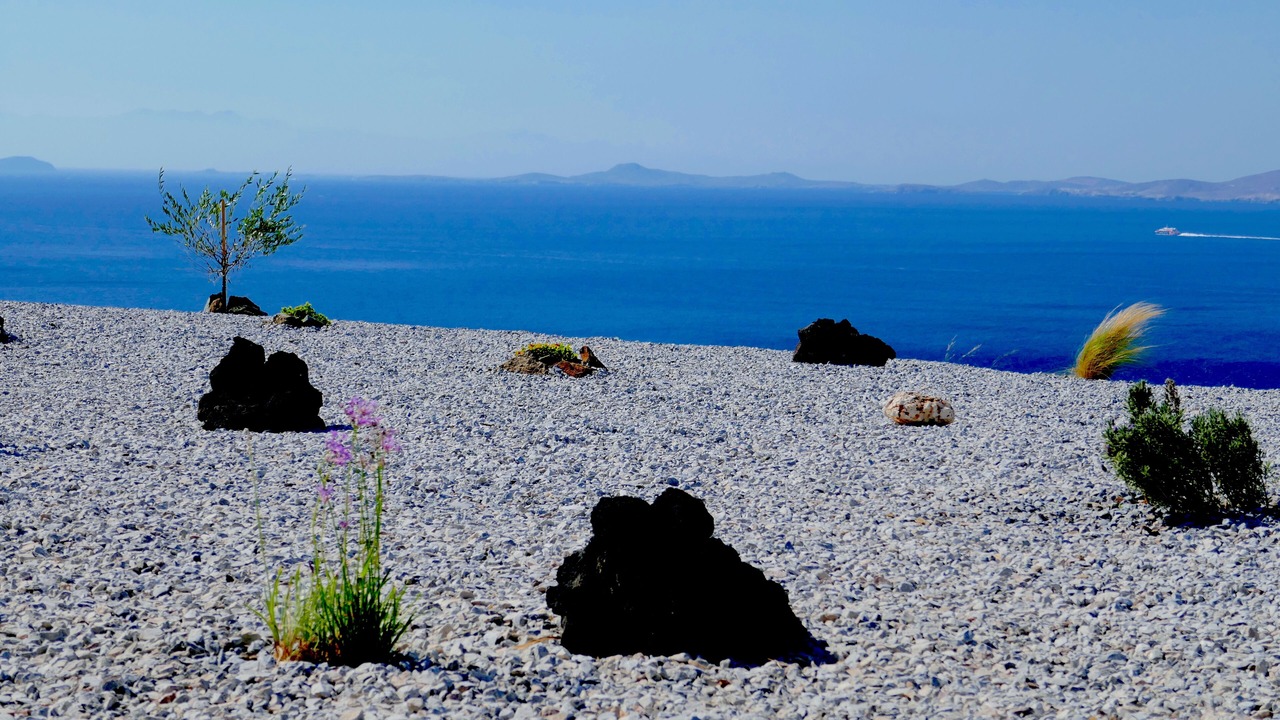 Photo of Others in Tinos Town