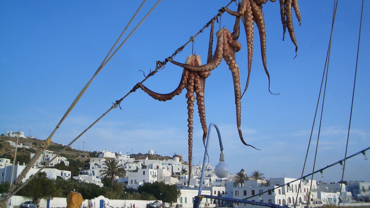 Photo of Others in Fanari