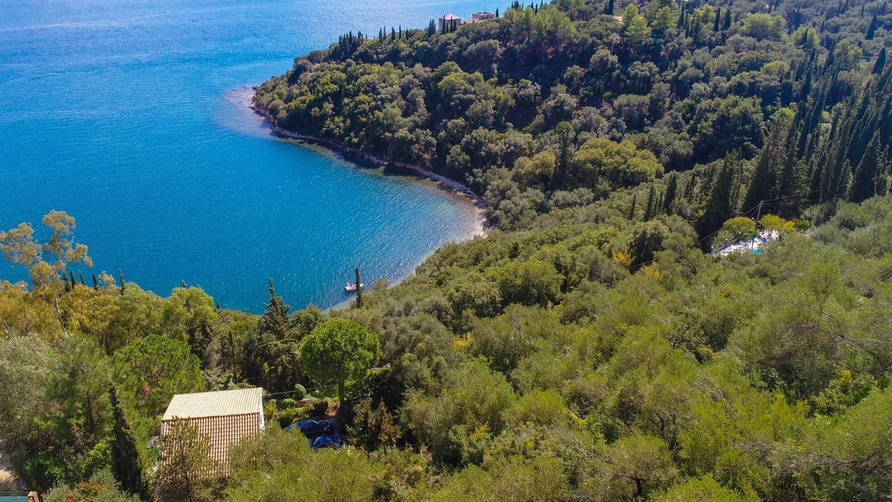 Photo of Outdoor in Petaleia