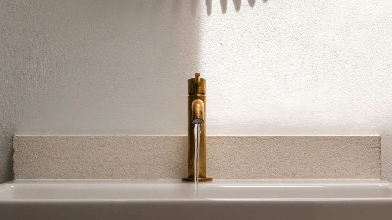 Photo of Bathroom in Agni