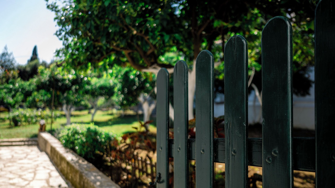 Photo of Outdoor in Barbati