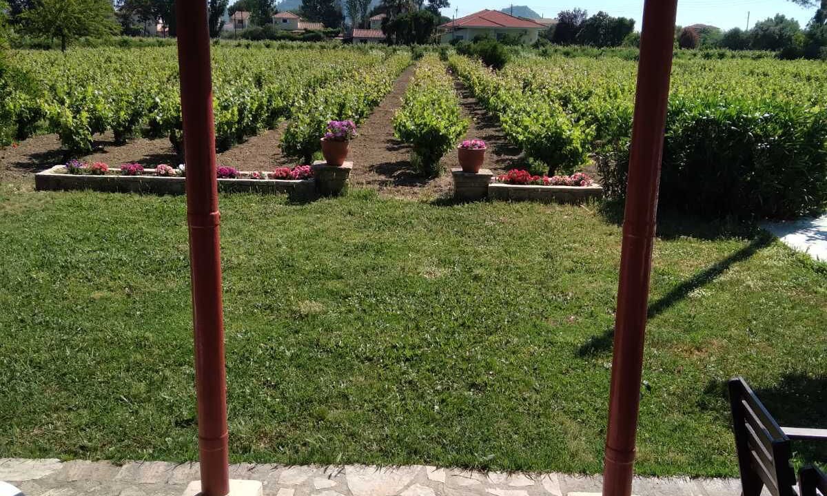 Photo of Patio Balcony in Gaitanion