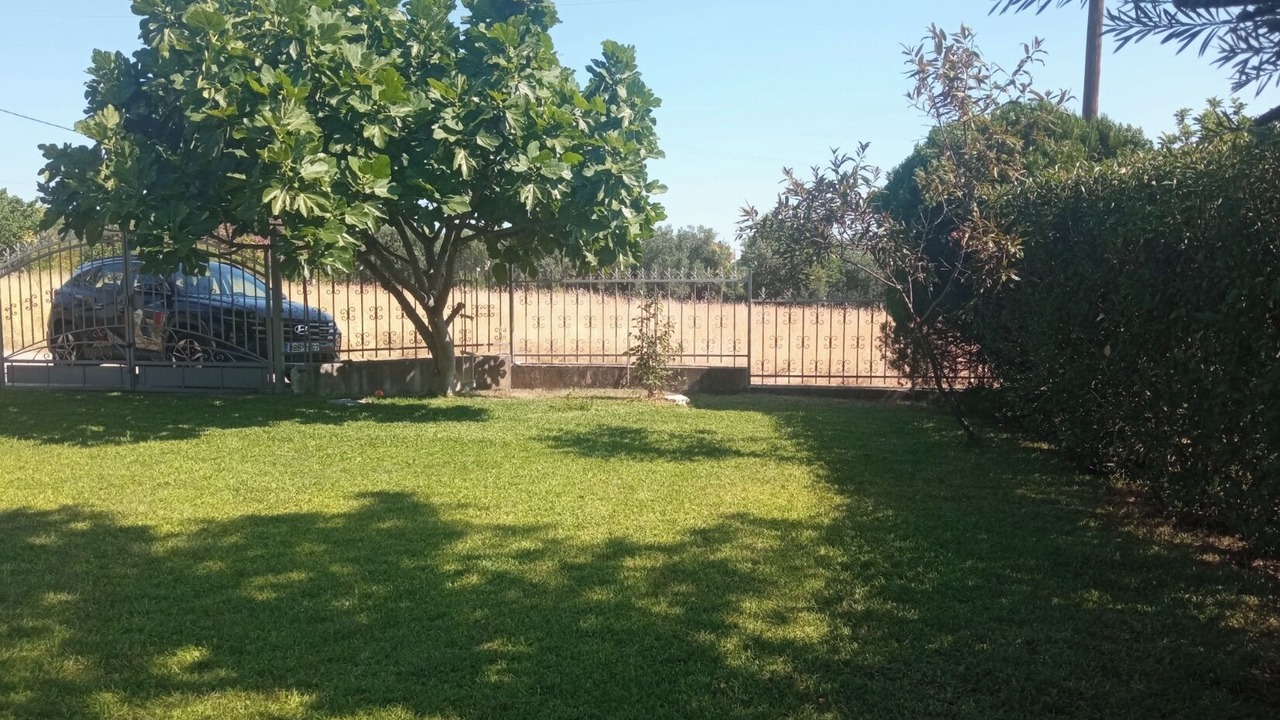 Photo of Outdoor in Leptokaria