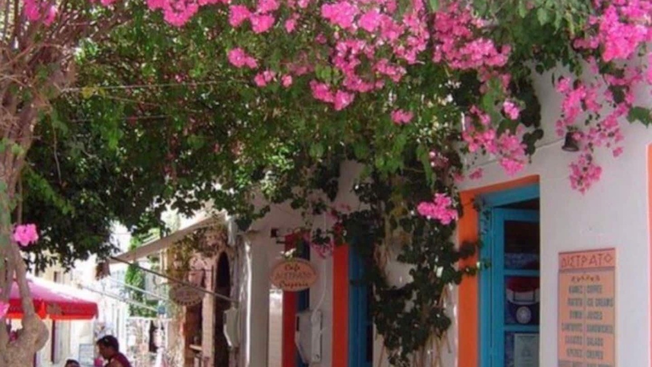 Photo of Outdoor in Panormos