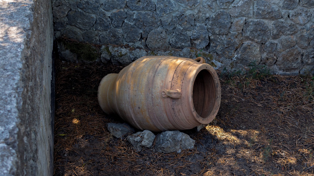 Photo of Others in Dassia