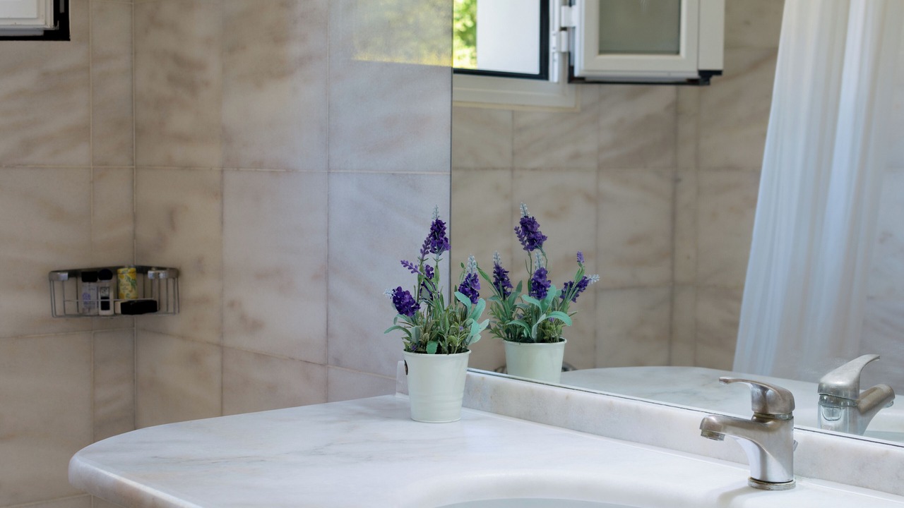 Photo of Bathroom in Dassia