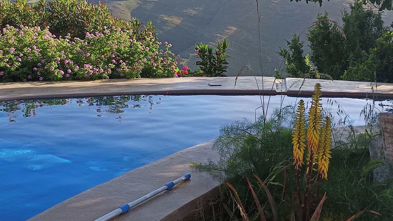 Photo of Outdoor in Andros
