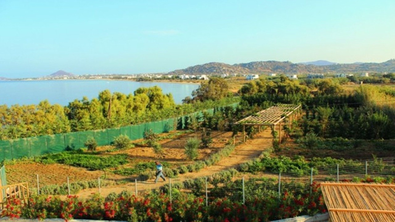 Photo of Outdoor in Maragas