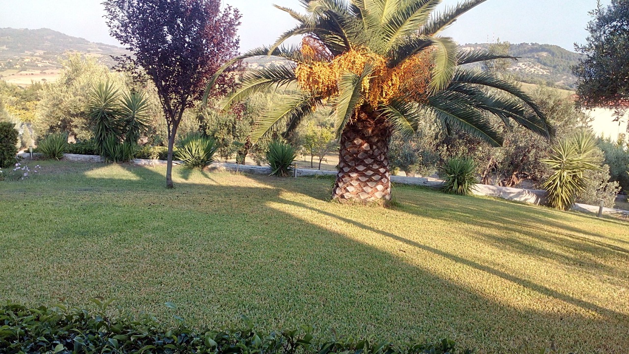 Photo of Outdoor in Possidi