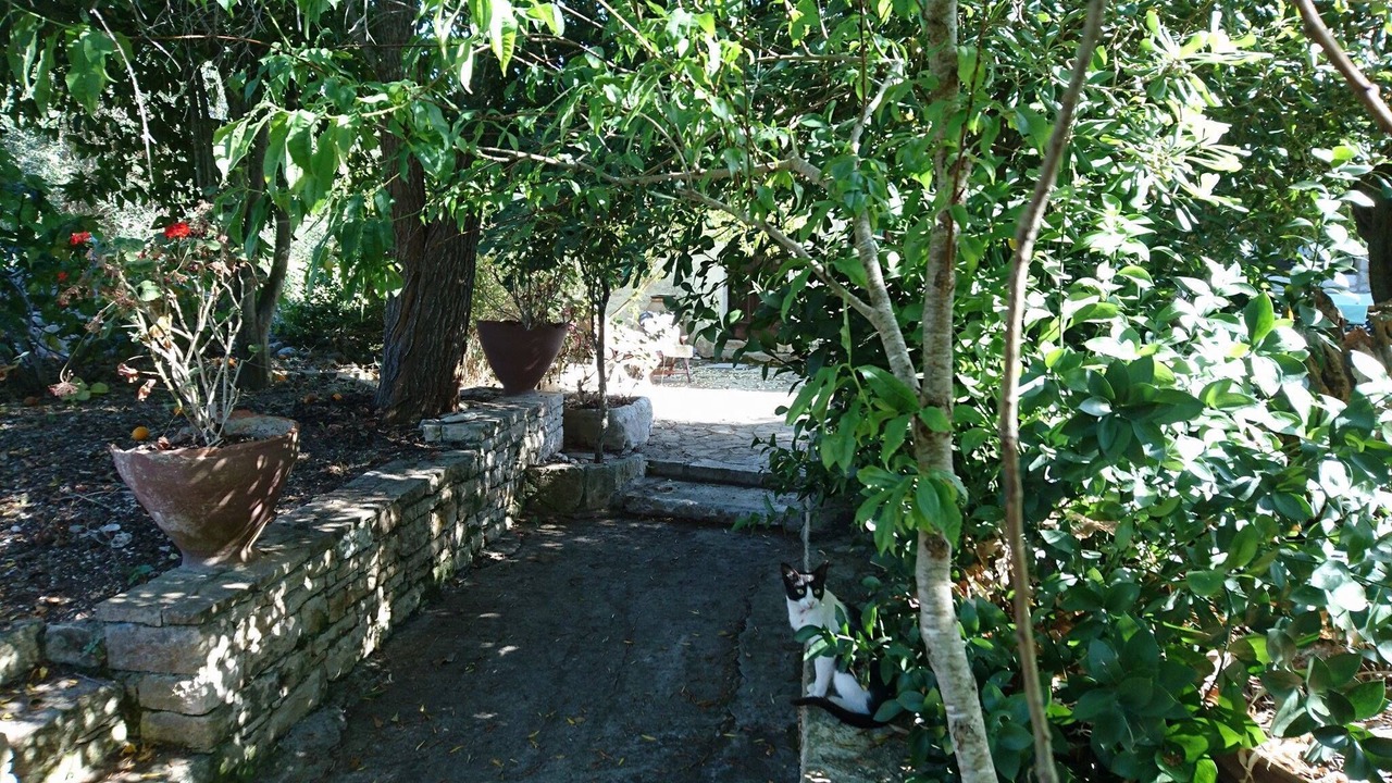 Photo of Outdoor in Magazia