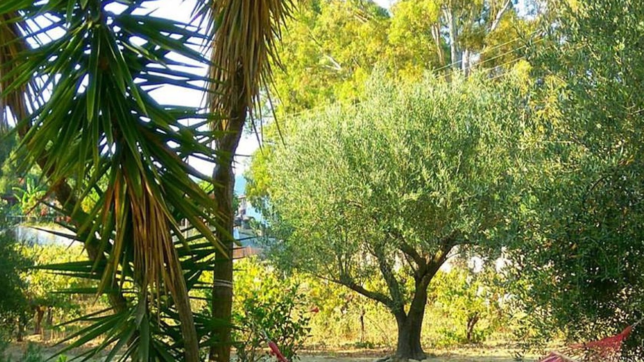 Photo of Others in Leivathos