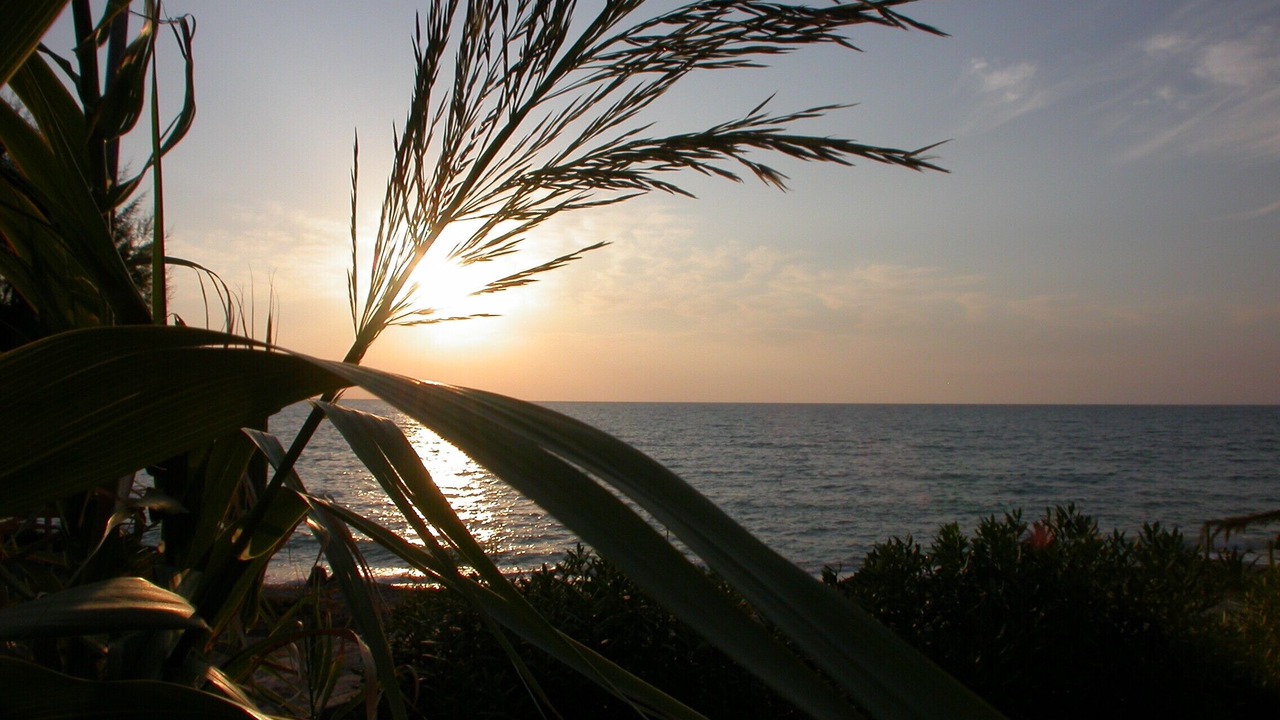 Photo of Outdoor in Trifylia