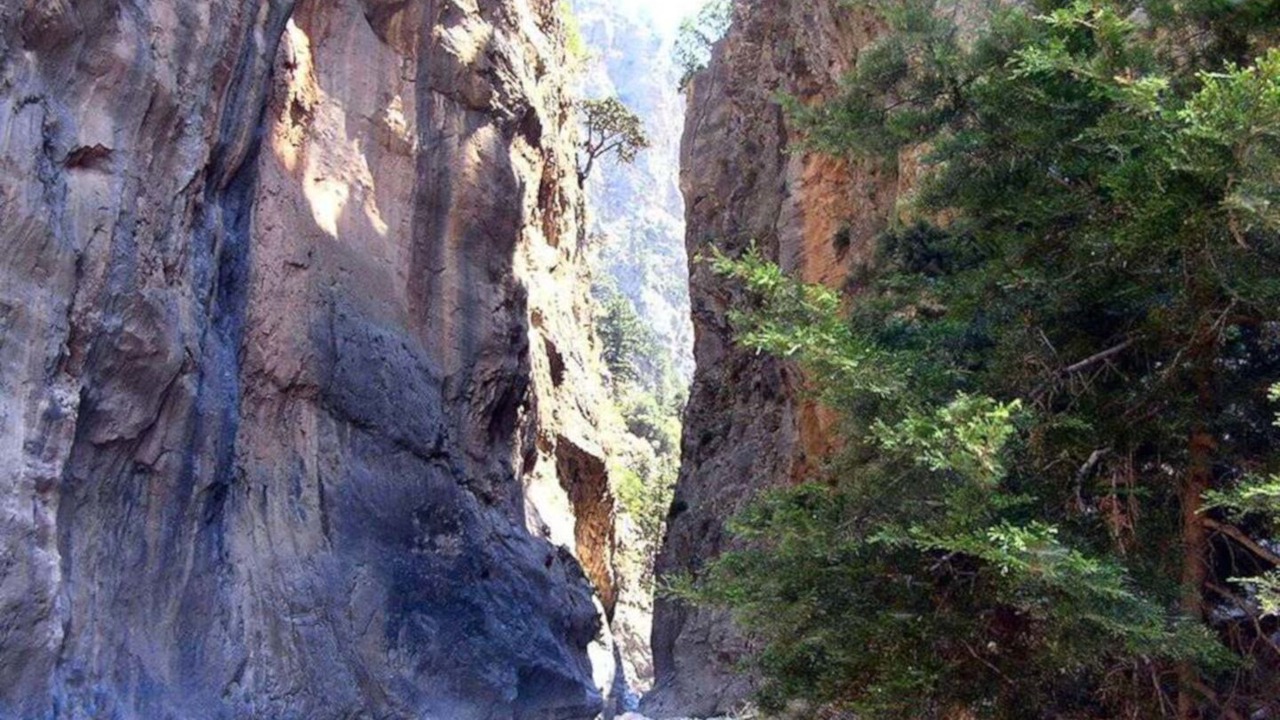 Photo of Others in Nea Chora