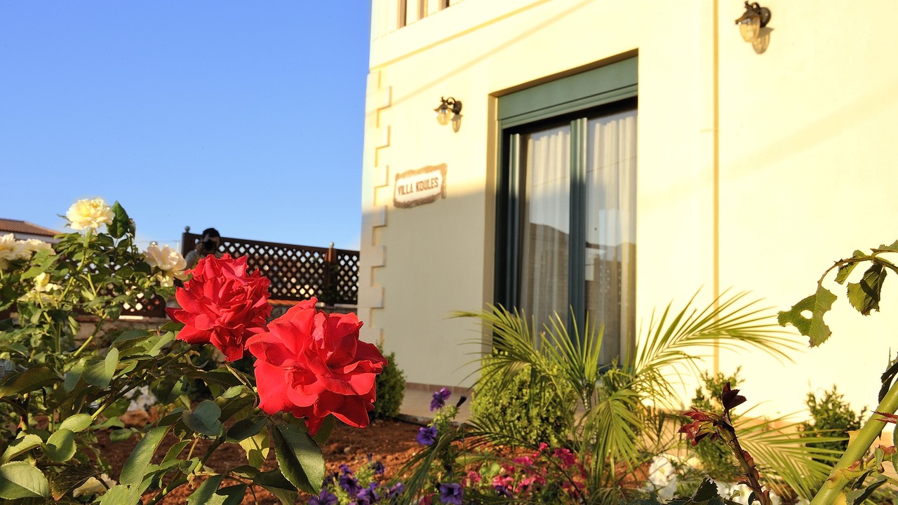 Photo of Outdoor in Makhairoi
