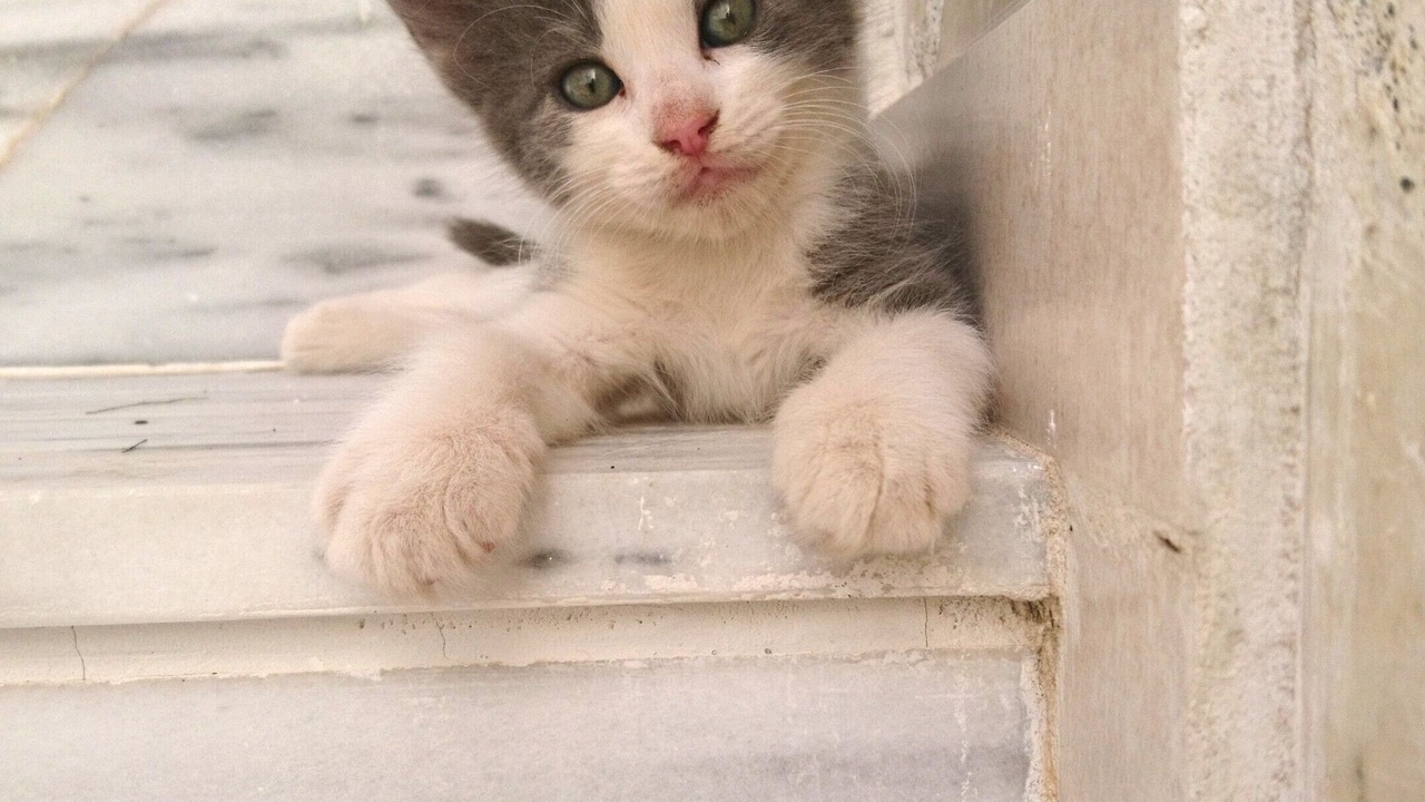 Photo of Others in Faliraki