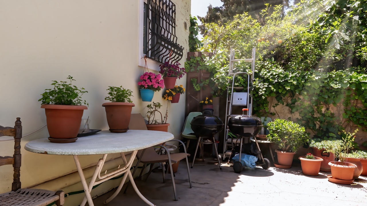 Photo of Outdoor in Markopoulo Mesogaias