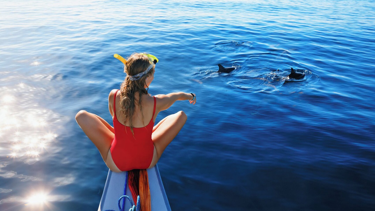 Photo of Others in Skiathos