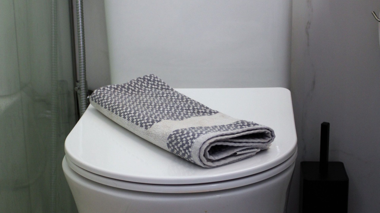 Photo of Bathroom in Ipsos