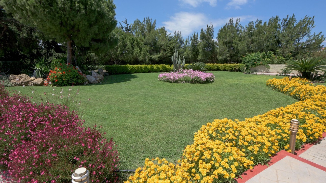 Photo of Others in Kallithea
