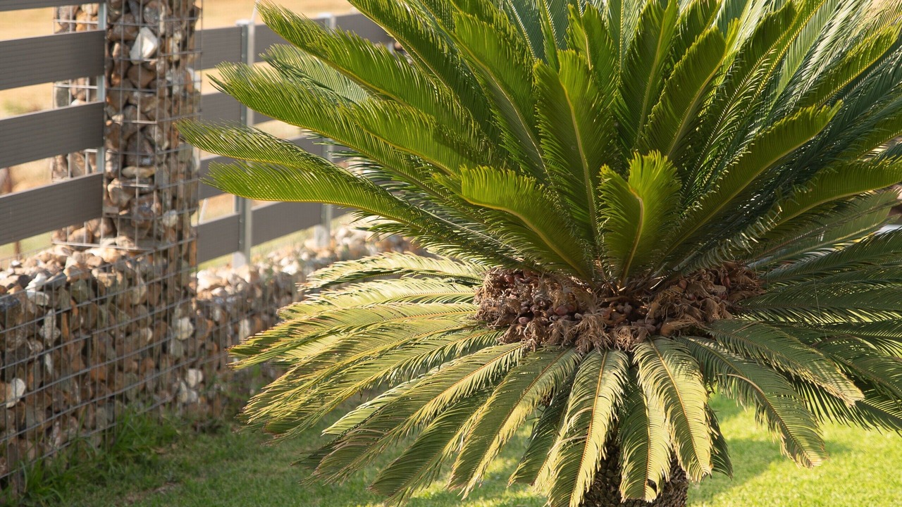 Photo of Outdoor in Nea Propontida