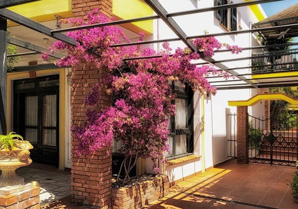 Photo of Outdoor in Afytos