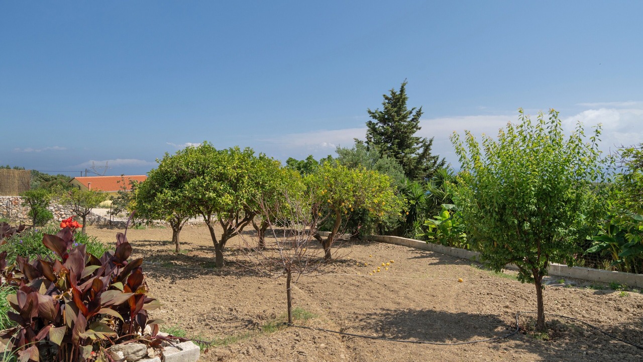 Photo of Outdoor in Skala