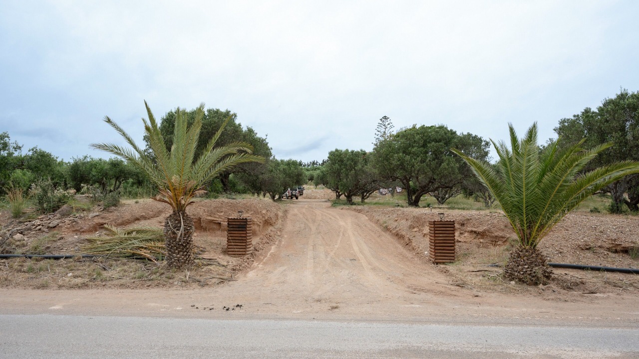 Photo of Others in Palekastro