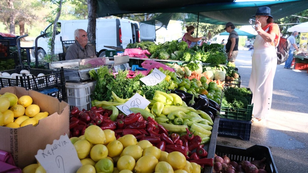 Photo of Others in Litochoro