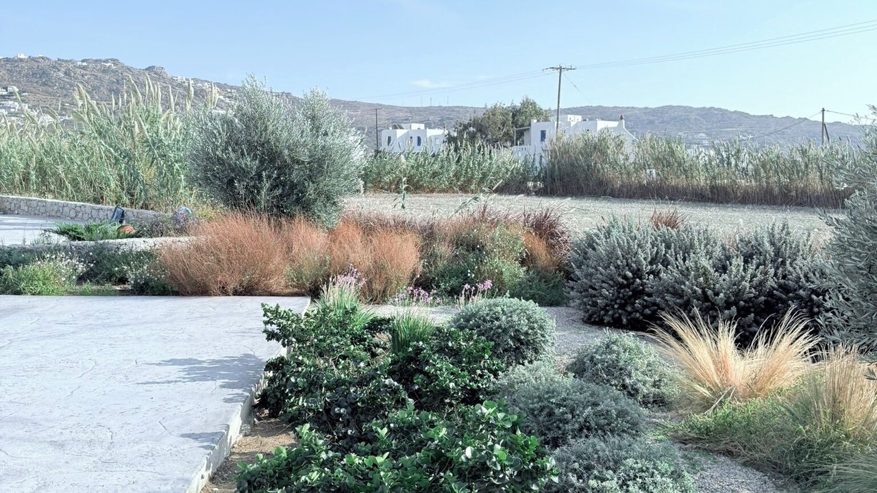 Photo of Outdoor in Plaka