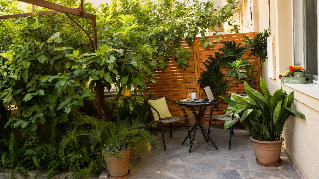 Photo of Outdoor in Dafni