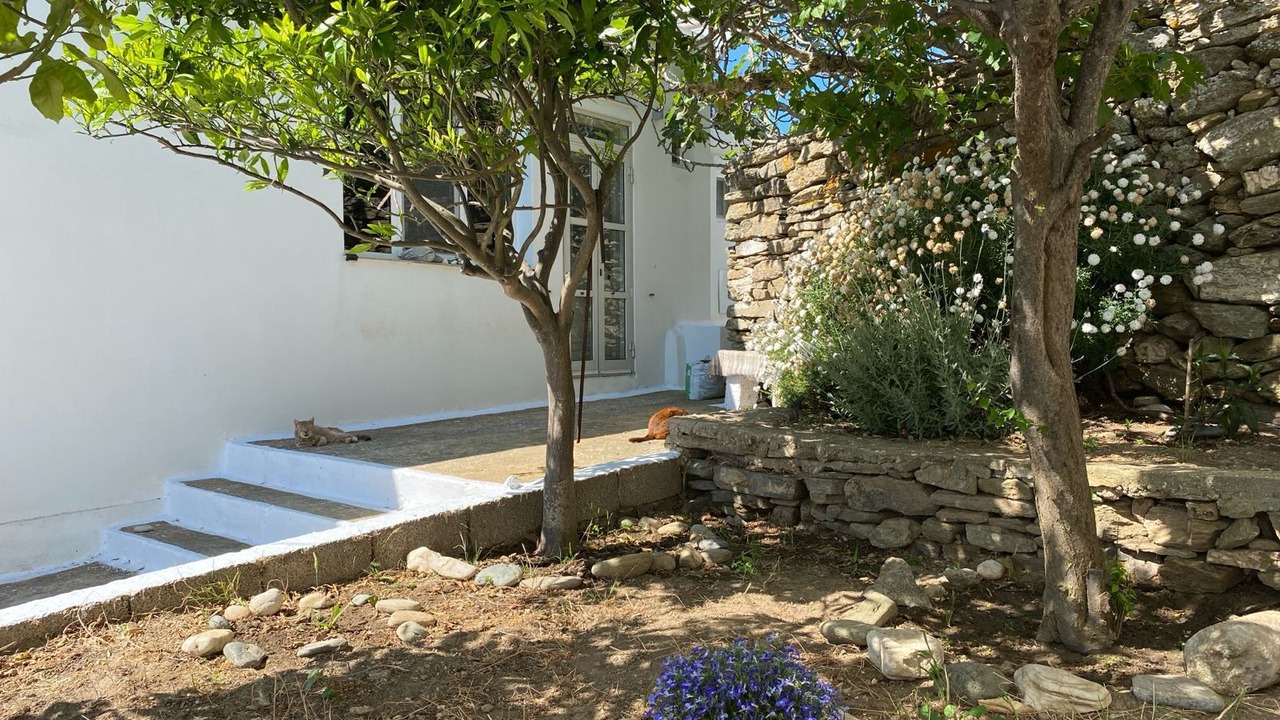 Photo of Outdoor in Tinos