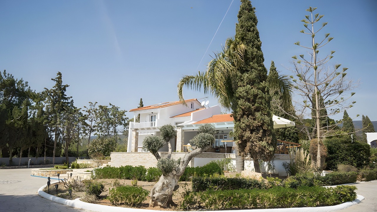 Photo of Outdoor in Pigadia