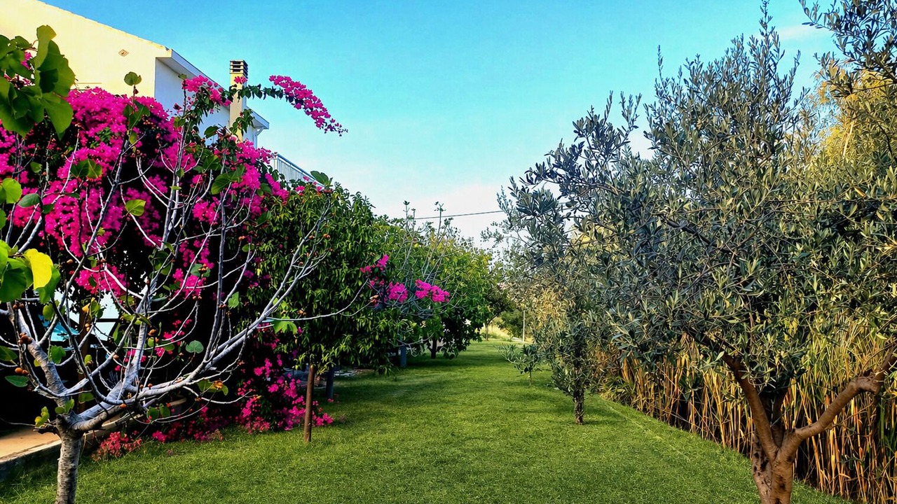 Photo of Outdoor in Kalithies