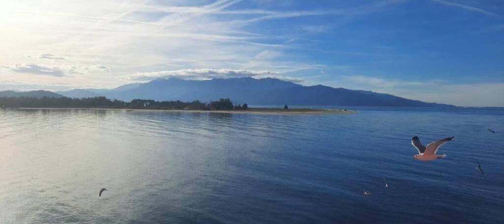 Photo of Others in Golden Beach