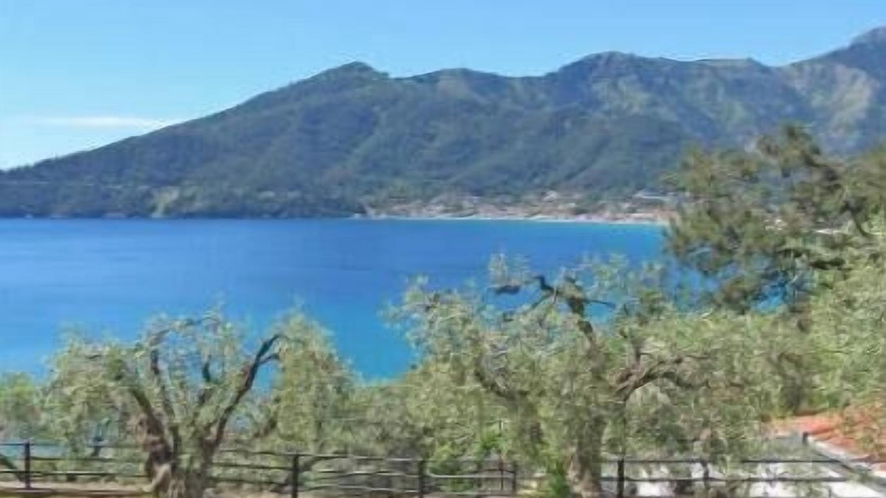 Photo of Outdoor in Golden Beach