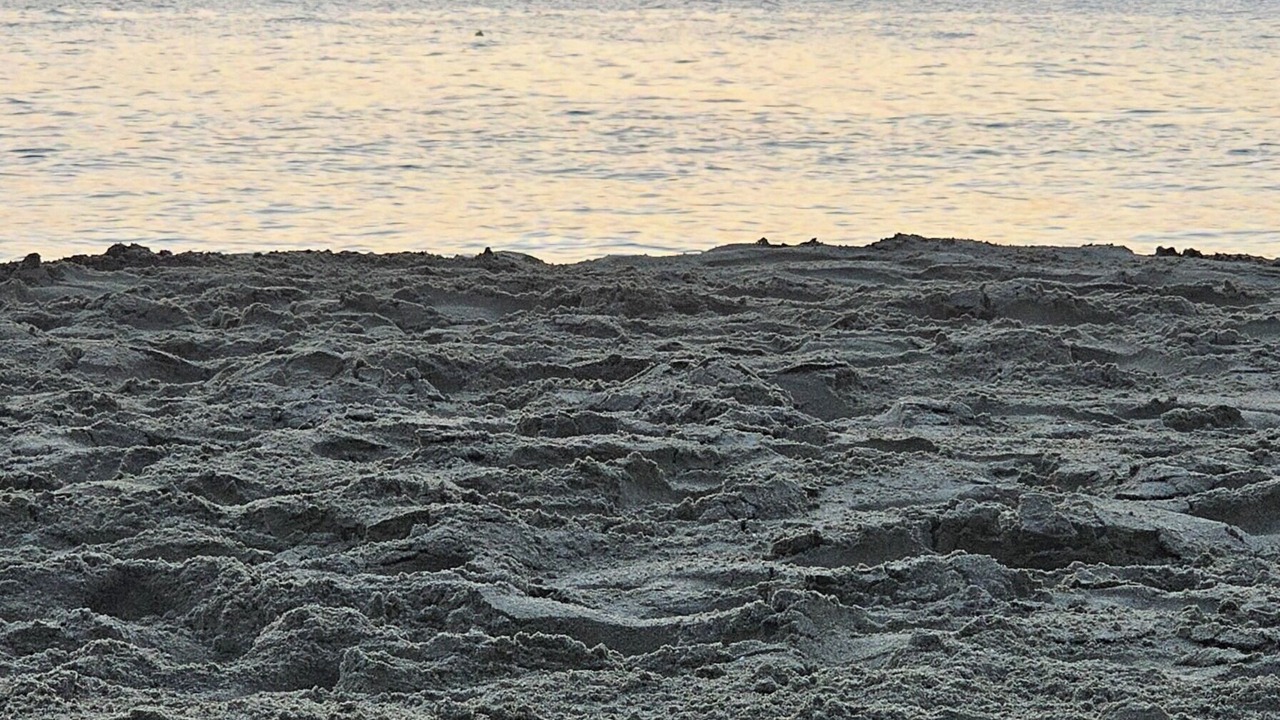 Photo of Others in Exomvourgo