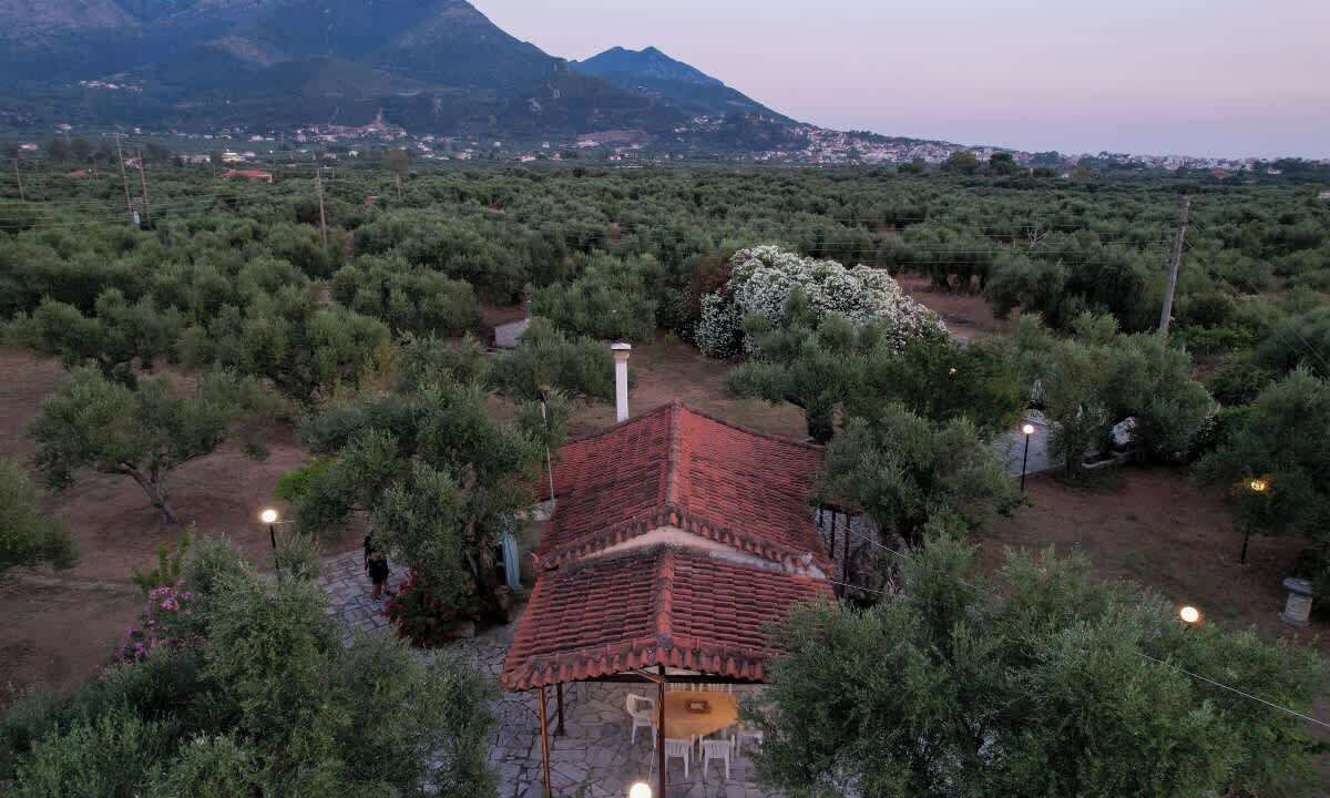 Photo of Others in Kiparissia
