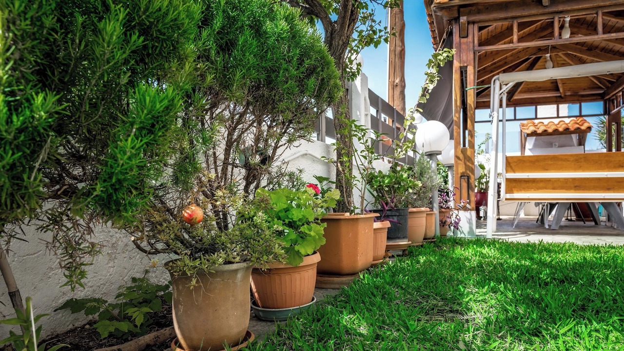 Photo of Outdoor in Agia Pelagia