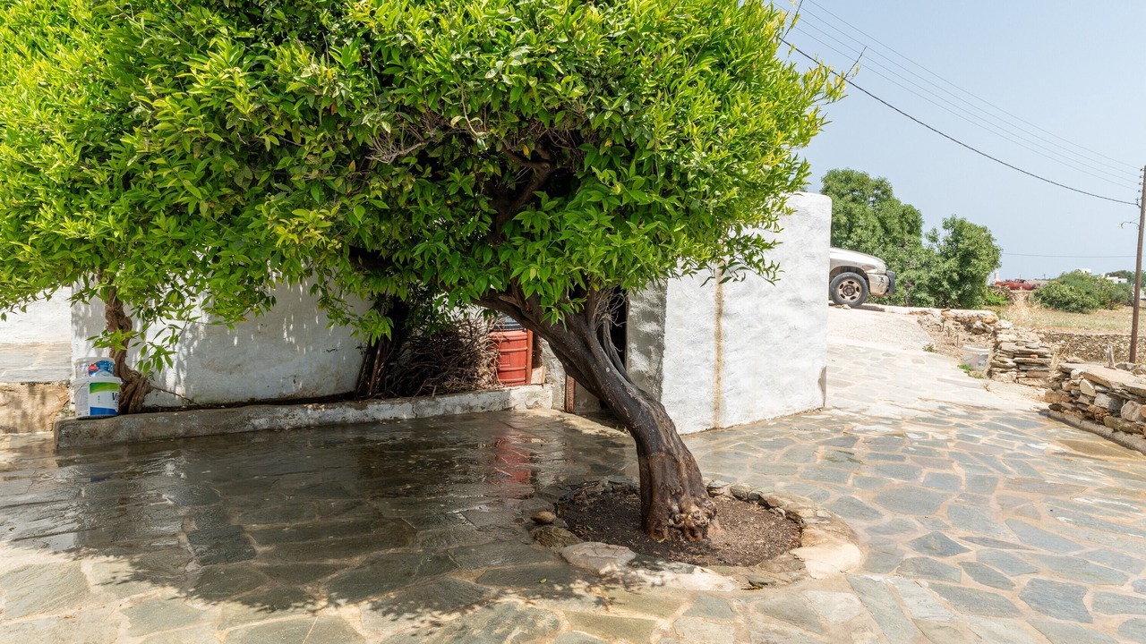 Photo of Outdoor in Sifnos