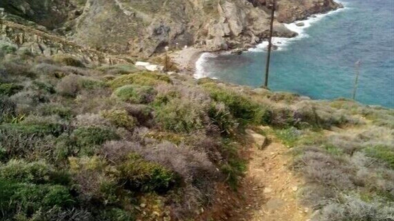 Photo of Others in Syros