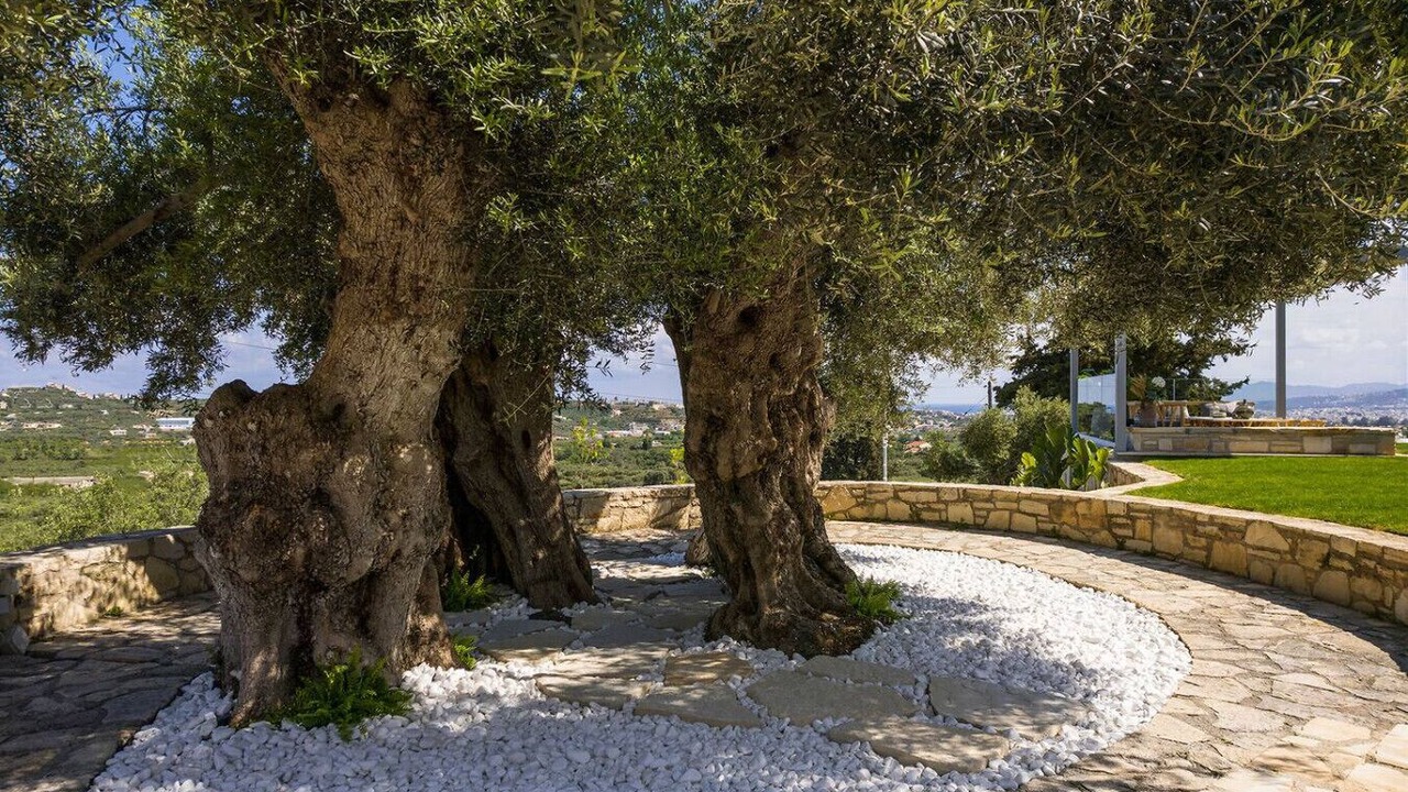 Photo of Outdoor in Agia