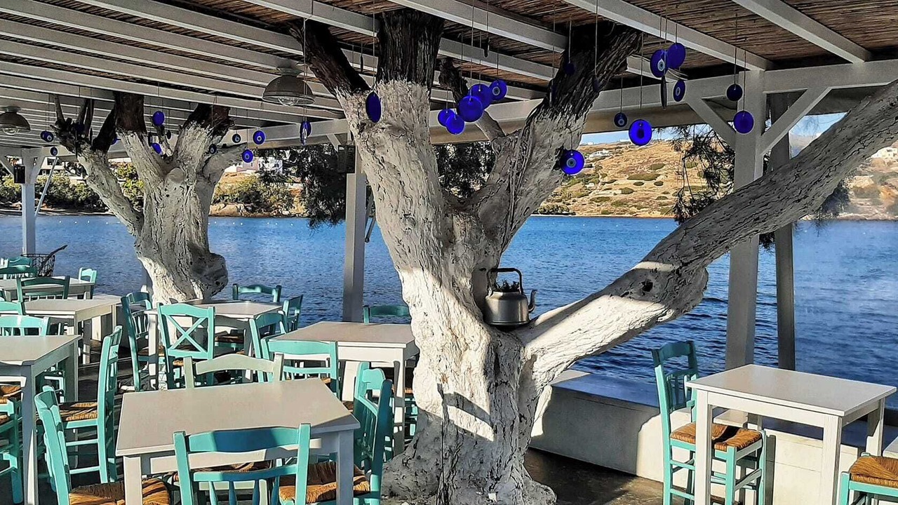 Photo of Outdoor in Kini