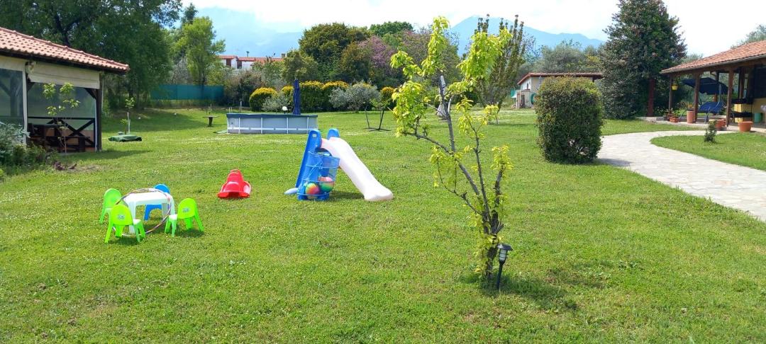 Photo of Others in Litochoro