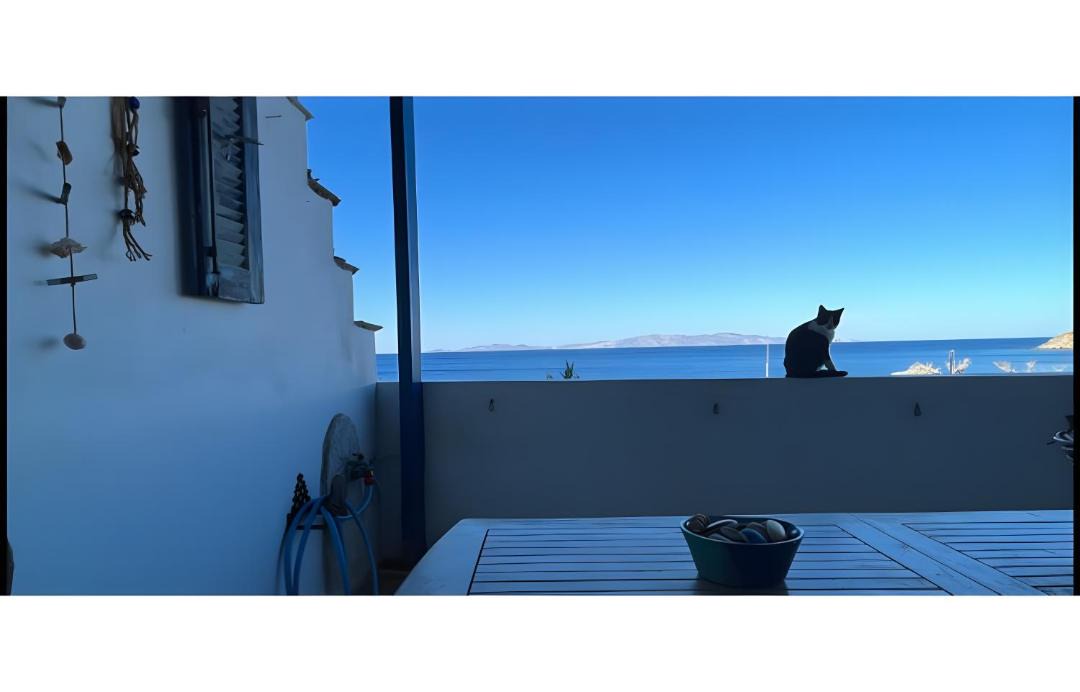 Photo of Others in Tinos Town